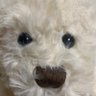 k's profile picture
