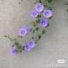 独行客 profil fotoğrafı