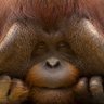Indonesia Jones's profile picture