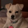 Percy58's profile picture