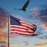 LoveAmericaLoveourFlag's profile picture