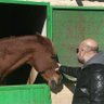 Profilbild von S. Abdolah