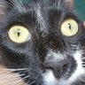 Alienado's profile picture