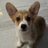 vlnciajane profil fotoğrafı