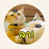 BrightAmeCute🌞🐱's profile picture