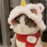 Profilbild von 重返人类