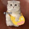 帅气哥哥的话's profile picture