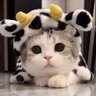 Profilbild von Earn 🐱🦖