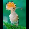 Фото профиля صالح علي