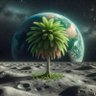 Cm_Polo's profile picture