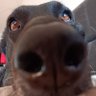 Profilbild von Beate Nuss