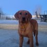 Vicholas profil fotoğrafı