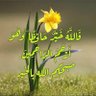 Фото профиля عارف الظفيري