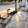 Фото профиля Lorenzo
