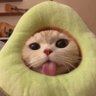 Calef 21's profile picture