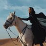 شعاع الفريح's profile picture