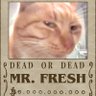 i forgor's profile picture