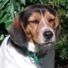 Profilbild von Joaquin Dom