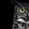 BEAST420 profil fotoğrafı