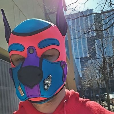 puppersapex's profile picture