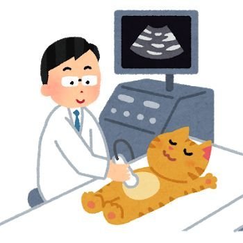 超音波ねこ's profile picture