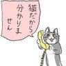 Profilbild von 令和渡来人Saneyuki