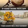 Mose 的头像