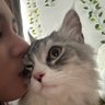 Alexander's profile picture