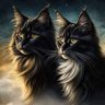 Profilbild von Lloyo333