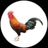 CB2ERAINCOMING profil fotoฤrafฤฑ