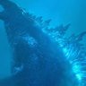Фото профиля Gojira Wilson3