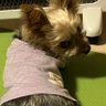 keiten TS's profile picture