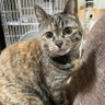 ゆち's profile picture