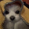 松。's profile picture
