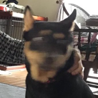 ossm03's profile picture