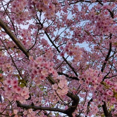 c9nzbx's profile picture
