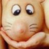 张二胖 profil fotoğrafı