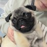 Фото профиля Vicky
