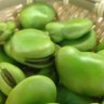 various's profile picture