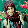 Saifullah Shamshad 的头像