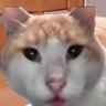 hxxhchjfjfjccc's profile picture