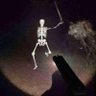 Profilbild von a skeleton