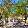 Фото профиля Nkszn_Gumede