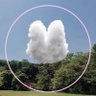 فرح profil fotoğrafı