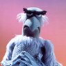 Bad Coconuts's profile picture