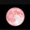 moongirl's profile picture