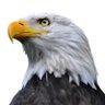 Profilbild von Selim