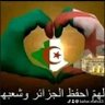 Ahmed. M's profile picture