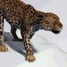 ะคะพัะพ ะฟัะพัะธะปั Jaguar