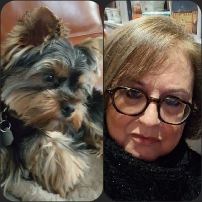 elisahk92's profile picture